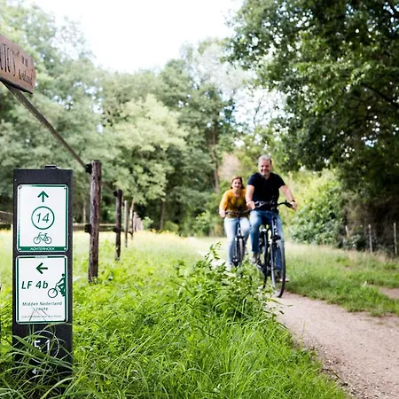 Отель Fletcher Boshotel De Lochemse Heuvels