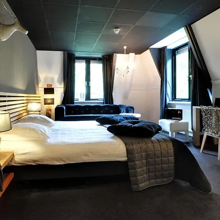 Отель Fletcher Boshotel De Lochemse Heuvels Барчем